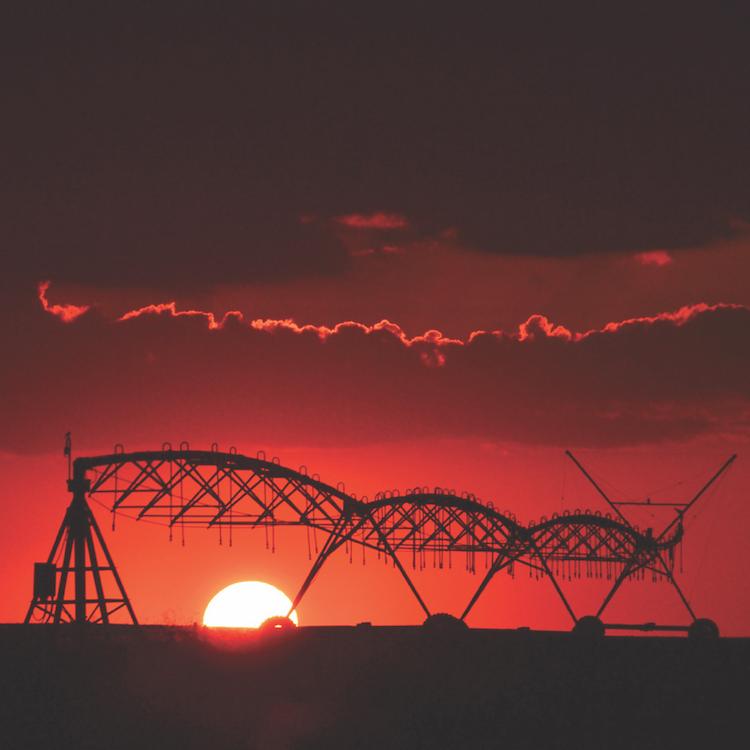 GFB Photo Contest winners capture beauty of farm life